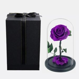 Eternal Royal Beauty Rose