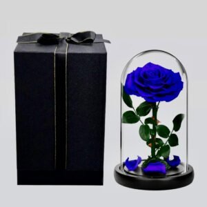 The Royal Beauty Rose