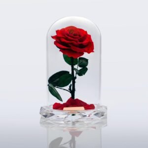 The Crystal Beauty Rose