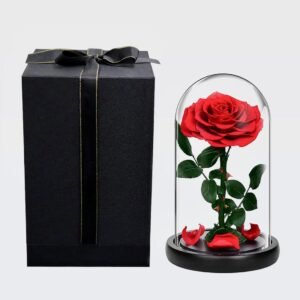 The Eternal Love Rose