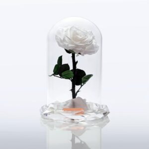 Crystal Eternal Beauty Rose
