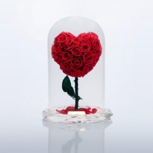 The Crystal Heart of Love