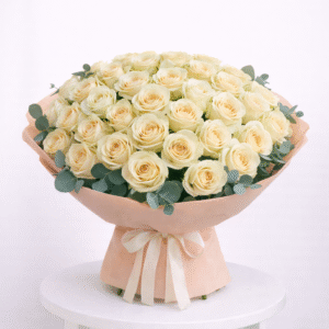 Ivory Rose Cloud – 55 Roses