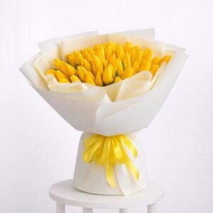 Sunshine Tulip Cloud