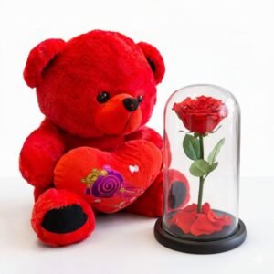 Valentine’s Eternal Rose & Teddy Bear Set